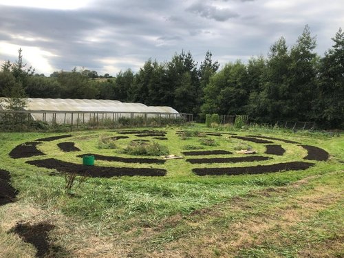 Herbal Medicine Wheel Garden